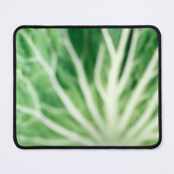 Item preview, Cabbage leaves designed and sold by Gaspar Avila.