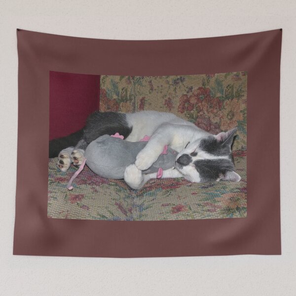 Item preview, Sleeping Kitten designed and sold by Frankie Cat Photography.