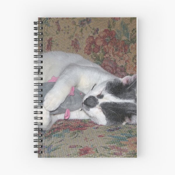 Item preview, Sleeping Kitten designed and sold by Frankie Cat Photography.