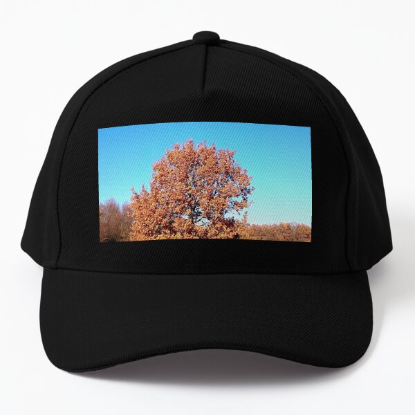 Red autumn leaves Baseball Cap
