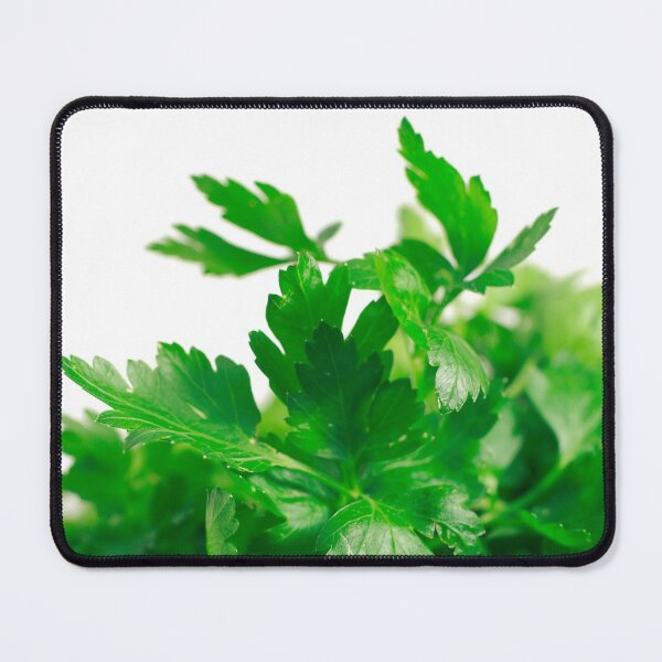 Item preview, Parsley designed and sold by Gaspar Avila.