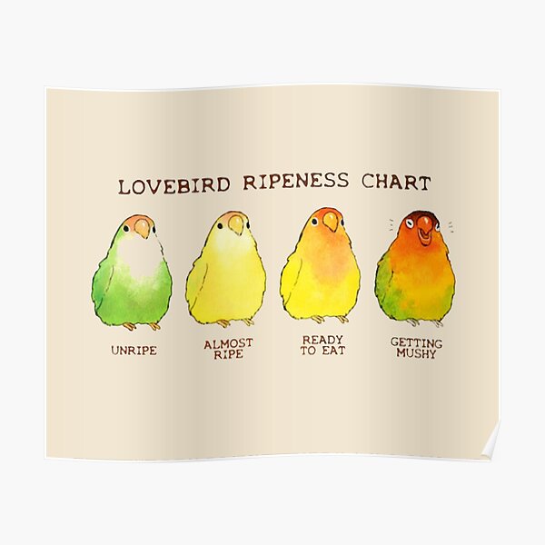 "Lovebird Ripeness Chart Painting" Poster for Sale by SandraButlers