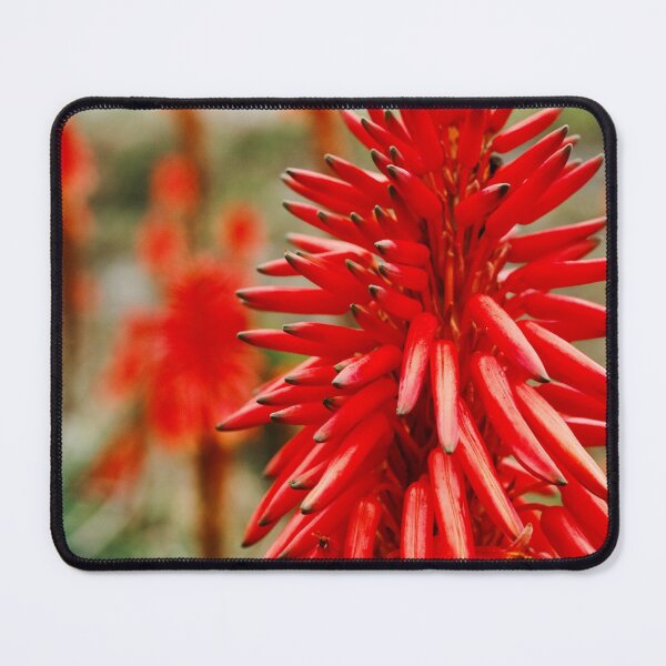 Item preview, Aloe flowers designed and sold by Gaspar Avila.