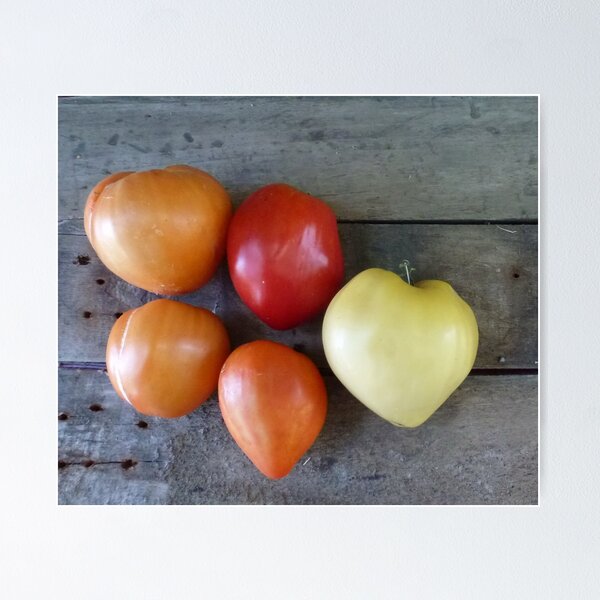 Item preview, Tomatoes heart designed and sold by HiddenGarden.