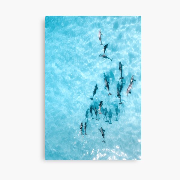 Item preview, Dolphins designed and sold by slonchak.