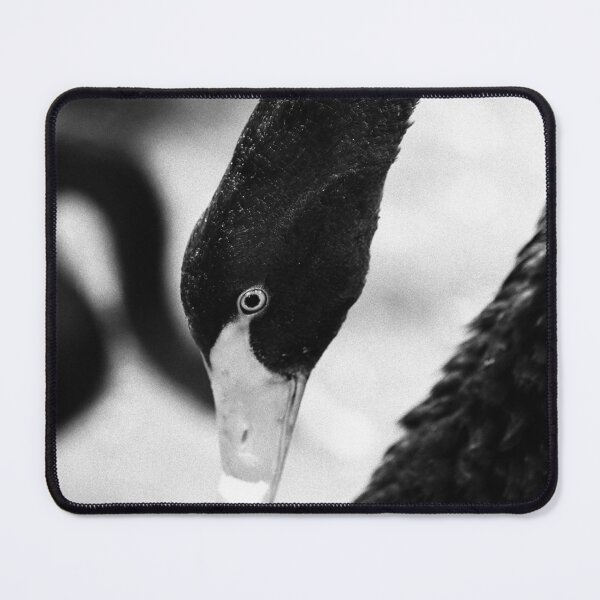 Item preview, Black swan designed and sold by Gaspar Avila.