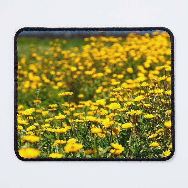 Item preview, Field of yellow daisies designed and sold by Gaspar Avila.