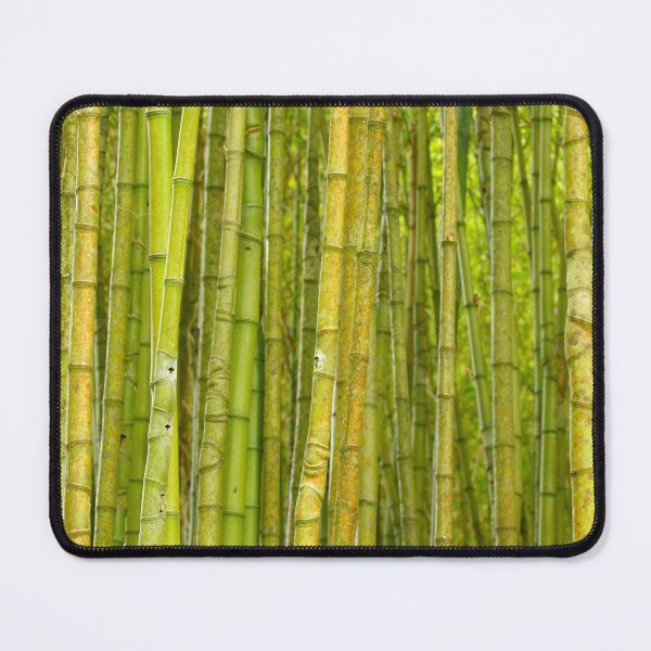 Item preview, Bamboo forest designed and sold by Gaspar Avila.