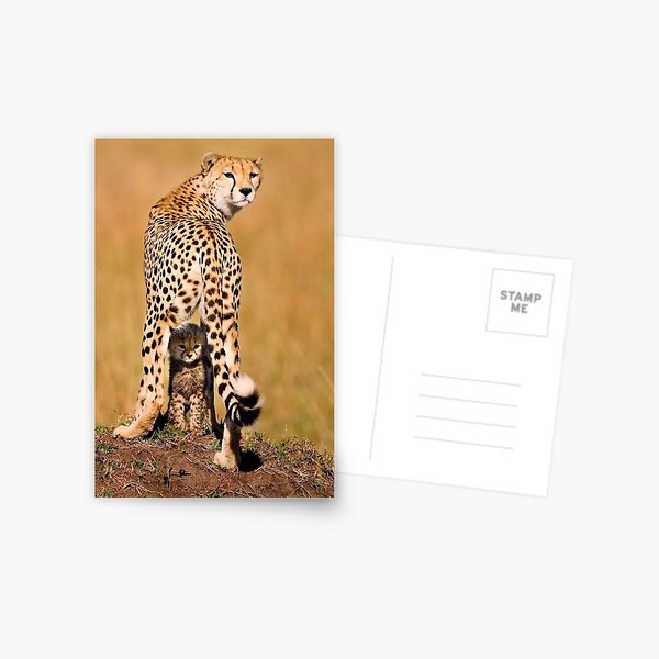 Caring Cheetah Mom With Cubs. Essential T-Shirt for Sale by Passion4Design