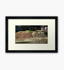 Brothers Framed Print