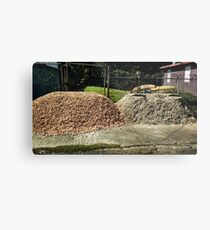 Brothers Metal Print