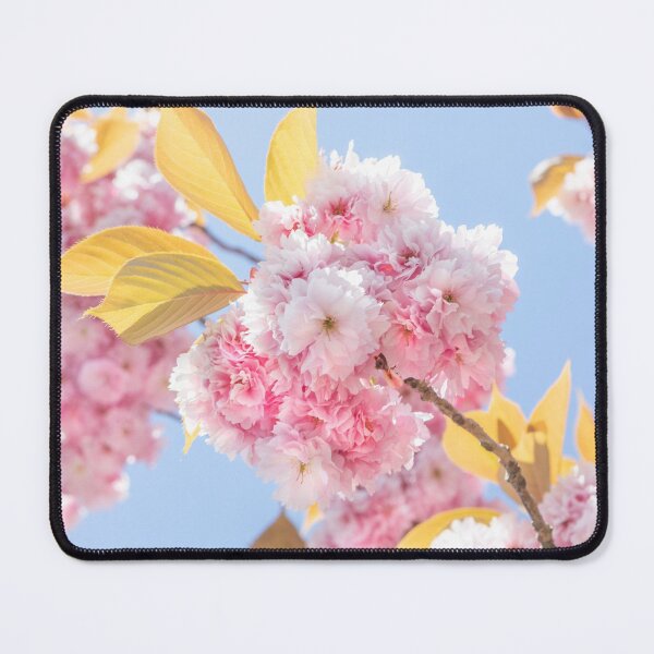Item preview, Pink Blossom designed and sold by Dave Hare Photography.