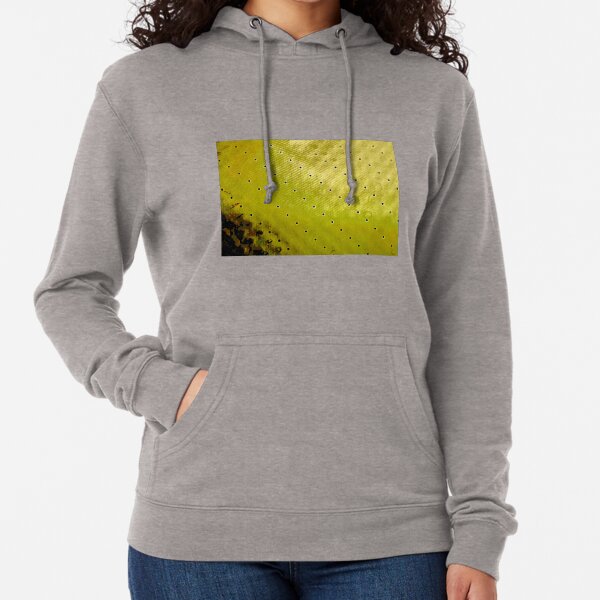 Feuille de Chartreuse Sweat à capuche léger