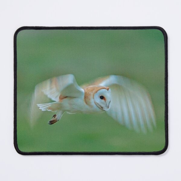 Item preview, Ghostly Barn Owl at Dusk designed and sold by Dalyndigital Photography.