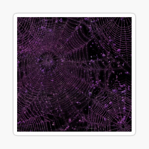 Cobwebs Pattern Purple Cobweb Sticker