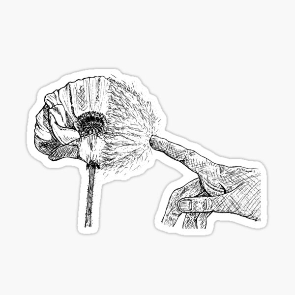 Poppy Burst Sticker
