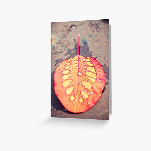 Fallen Greeting Card