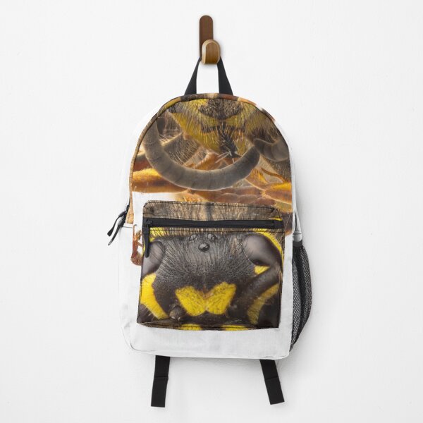 Item preview, Wasp designed and sold by Dave Hare Photography.