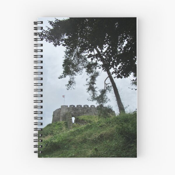 Item preview, Totnes Castle - late afternoon designed and sold by lezvee.