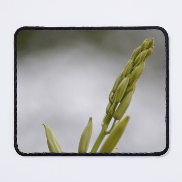 Item preview, Flower waiting to blossom designed and sold by Esther Hutchcroft.