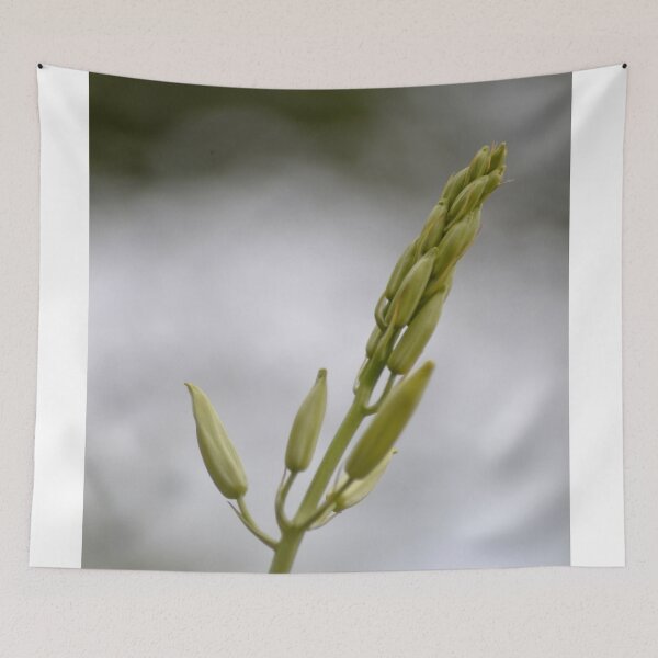 Item preview, Flower waiting to blossom designed and sold by Esther Hutchcroft.