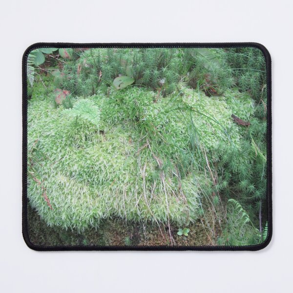 Item preview, Moss On A Rock designed and sold by lezvee.