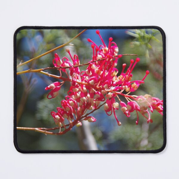 Item preview, Grevillea preissii 2 designed and sold by lezvee.