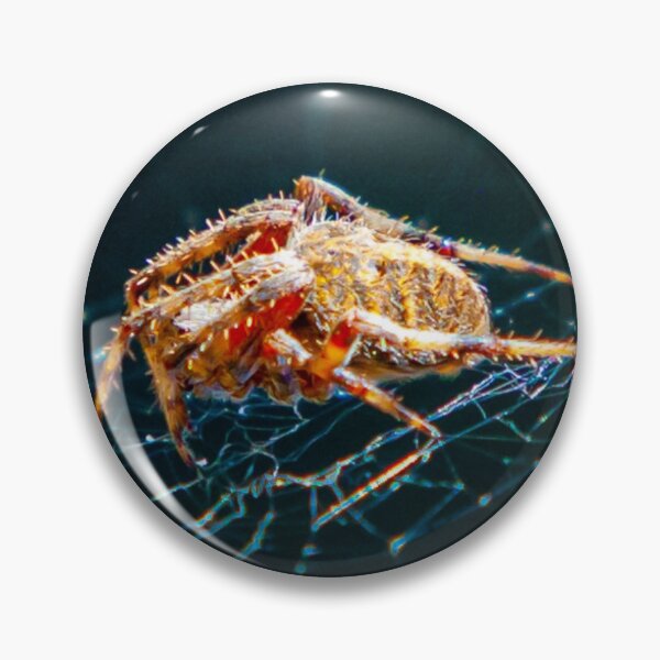 Item preview, Incy Wincy Spider on its web in the garden designed and sold by Dalyndigital Photography.