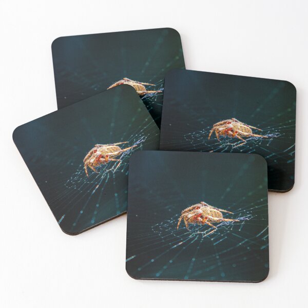 Item preview, Incy Wincy Spider on its web in the garden designed and sold by Dalyndigital Photography.