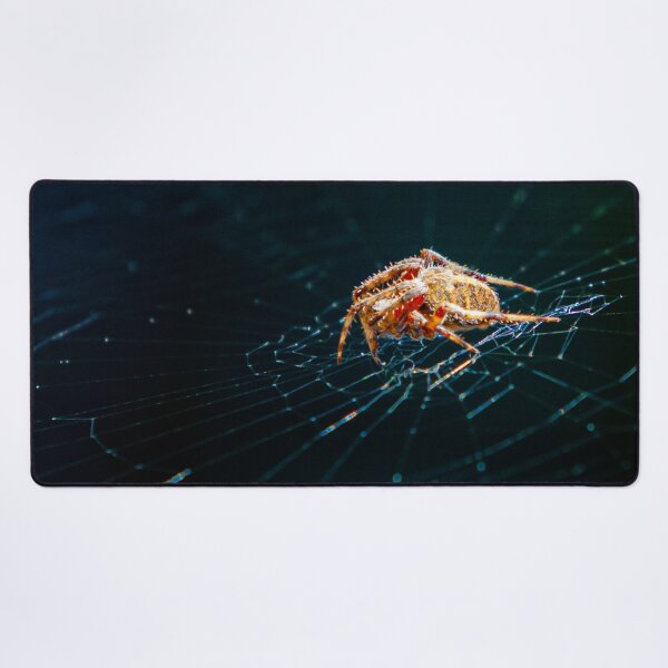 Item preview, Incy Wincy Spider on its web in the garden designed and sold by Dalyndigital Photography.