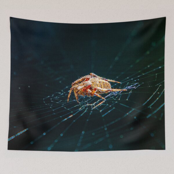 Item preview, Incy Wincy Spider on its web in the garden designed and sold by Dalyndigital Photography.