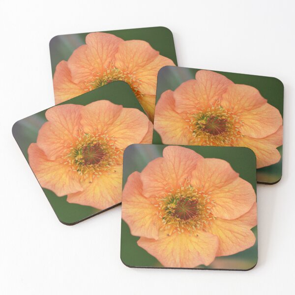 Item preview, Geum Avens Flower Macro designed and sold by Esther Hutchcroft.