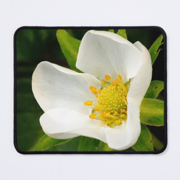 Item preview, Strawberry flower designed and sold by Gaspar Avila.
