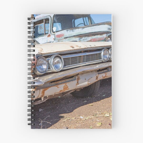 Item preview, Derelict Buick Special designed and sold by Dave Hare Photography.