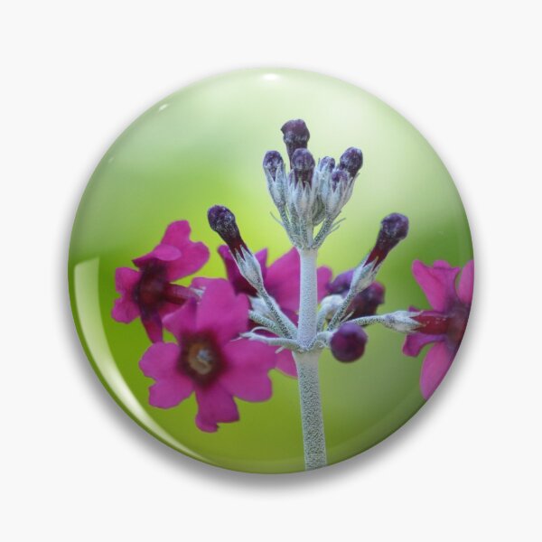 Item preview, Powdered Primrose Flower Macro Close Up designed and sold by Esther Hutchcroft.