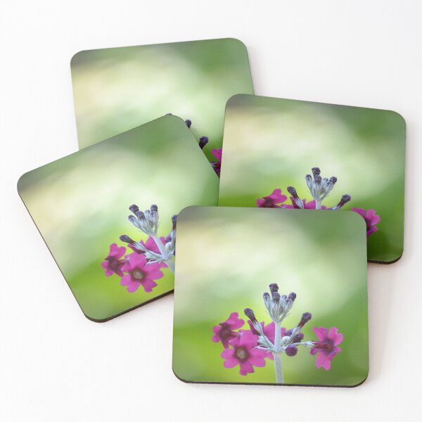 Item preview, Powdered Primrose Flower Macro Close Up designed and sold by Esther Hutchcroft.