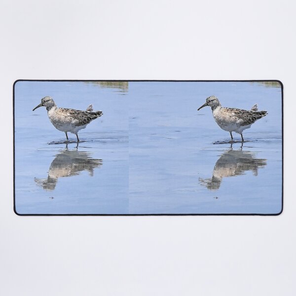 Item preview, r2435/ ornithologique-du-teich  Chevalier grivelé  2018 par Okaio Créations - Olavia-Olao     designed and sold by o.okaïo.