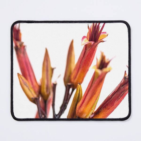 Item preview, Palm Flowers designed and sold by Dave Hare Photography.