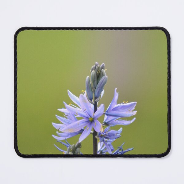 Item preview, Camas Flower Macro designed and sold by Esther Hutchcroft.