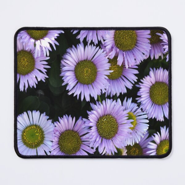 Item preview, Seaside Daisies designed and sold by Esther Hutchcroft.