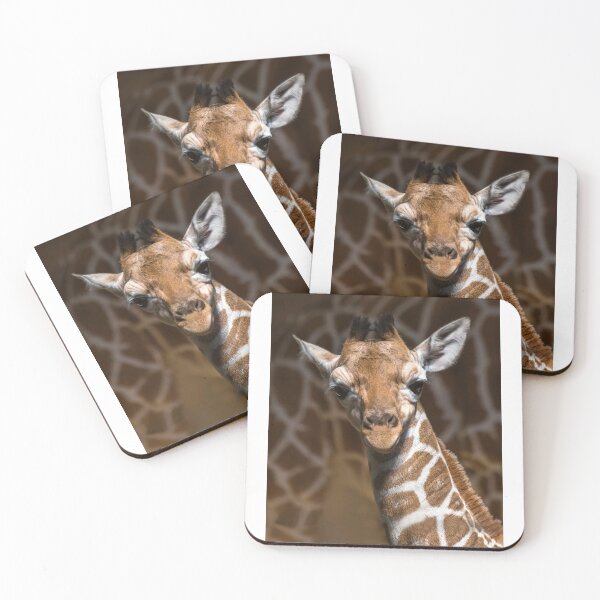 Item preview, Tall stories - A beautiful baby giraffe animal from Africa designed and sold by Hanger52.