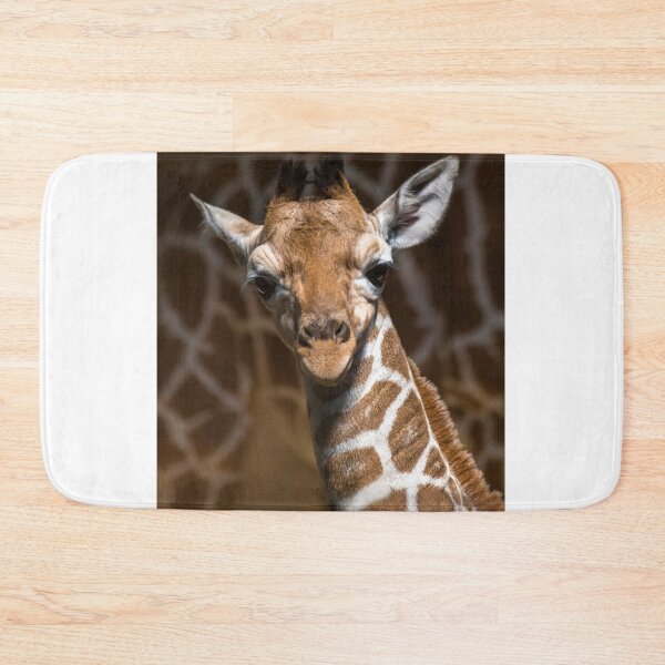 Item preview, Tall stories - A beautiful baby giraffe animal from Africa designed and sold by Hanger52.