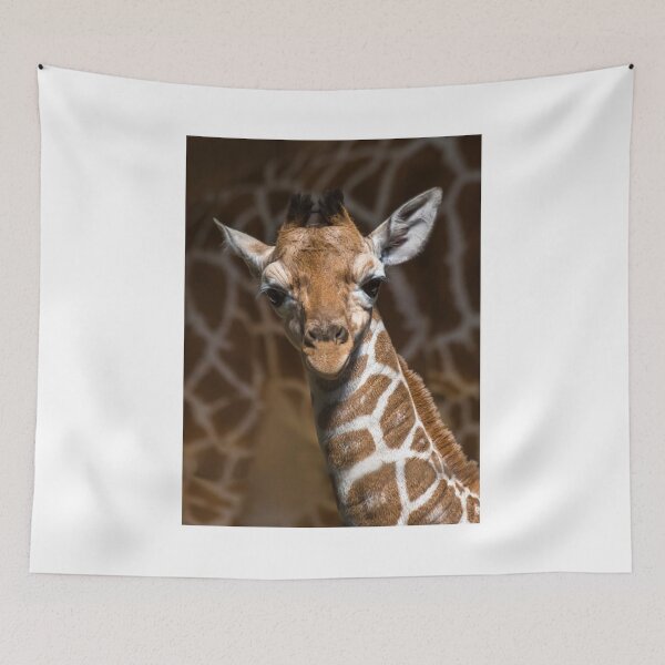 Item preview, Tall stories - A beautiful baby giraffe animal from Africa designed and sold by Hanger52.