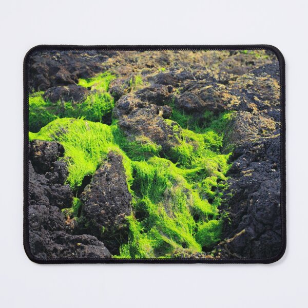 Item preview, Seaweed designed and sold by Gaspar Avila.