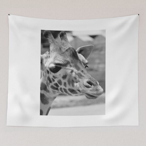 Item preview, Long legged beauty - Beautiful giraffe an African animal designed and sold by Hanger52.