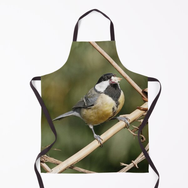 Item preview, r1040 / New Finition 2021 -- Mésange - (c)(t) Olavia-Olao Okaio Créations designed and sold by o.okaïo.