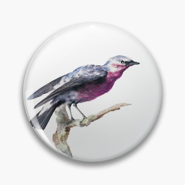 Item preview, Real Birds. Real Art. designed and sold by booboobunn.