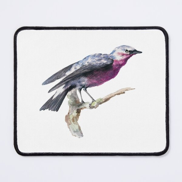 Item preview, Real Birds. Real Art. designed and sold by booboobunn.