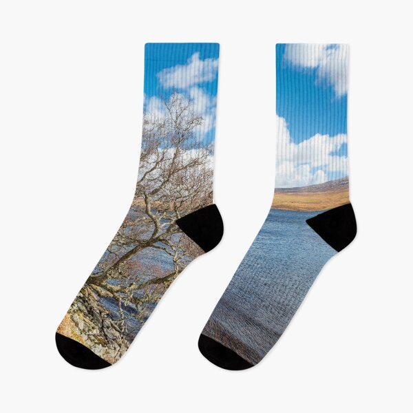 Item preview, Lochside Trees designed and sold by Dave Hare Photography.