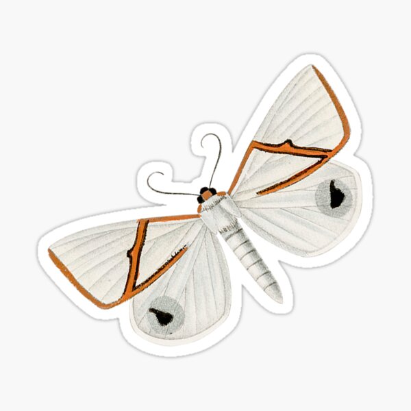 "White Butterfly" Sticker for Sale by ArtKitsForKids Redbubble